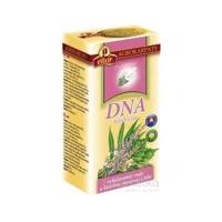 AGROKARPATY DNA bylinný čaj, čistý prírodný produkt, 20x2 g (40 g)