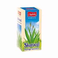 APOTHEKE Skorocel kopijovitý záparové vrecká 20x1,5 g (30 g)