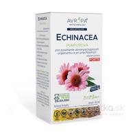 AVROPA Echinacea purpurová FORTE bylinné kvapky 50ml