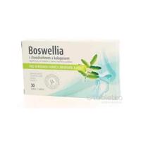 BOSWELLIA s chondroitínom a kolagénom 30tbl