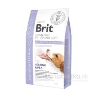 Brit Veterinary Diets GF dog Gastrointestinal 2kg