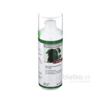 DermaSterol Forte pre psov 125ml