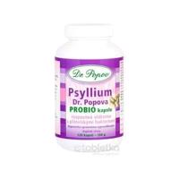 DR. POPOV PSYLLIUM PROBIO 1x120ks