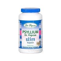 DR. POPOV PSYLLIUM SLIM 1x120ks