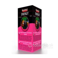 Energit pre holuby 500ml