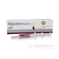 Epato pasta plus 2x15ml