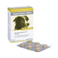 HepatoSan 1600mg 51,2g 32ks