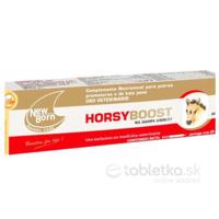 HorsyBoost pasta 20ml