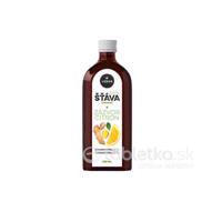 LEROS 100% Šťava Zázvor Citrón 250ml