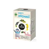 LEROS Dýchacie cesty detský čaj 6m+, 20x2g