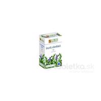 LEROS Šalvia lekárska bylinný čaj 20x1,5g