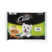 Mars CESAR kapsička dog Selection mix v želé 400g