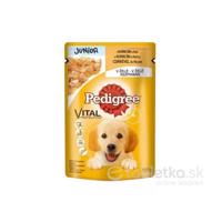 Mars PEDIGREE kapsička dog JUNIOR s kuracím mäsom&ryžou v želé 24x100g