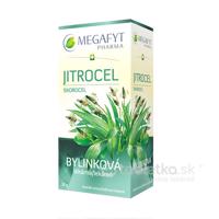 MEGAFYT Bylinková lekáreň Skorocel 20x1,5g