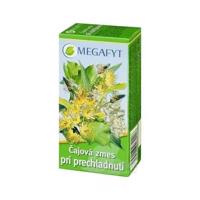 MEGAFYT Čajová zmes pri prechladnutí 20 x 1,5 g