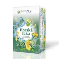 MEGAFYT Horská lúka bylinná zmes 20x1,5g