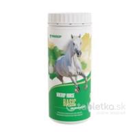 Mikros Horse Basic 1kg