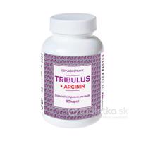 NATURVITA TRIBULUS + ARGINÍN 1x90ks