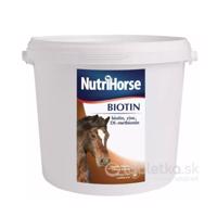 NutriHorse Biotin 1kg