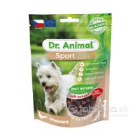 Pamlsok pre psov Dr. Animal bažant 100g