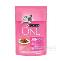 PURINA ONE Junior mini filetky s lososom a mrkvou v šťave 26x85g