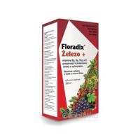 SALUS Floradix Železo + tekutá forma 500 ml