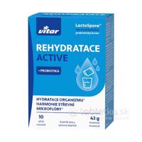 Vitar Rehydratace Active + Probiotika vrecká 10ks