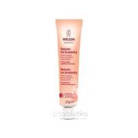 WELEDA Balzam na bradavky 25 g