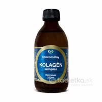 Zdravý svet lipozomálny Kolagén komplex hydrolyzovaný 250ml